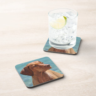 Magyar Vizsla Dog Coaster