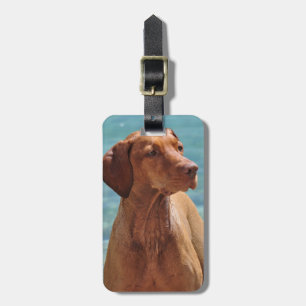 Magyar Vizsla Dog Luggage Tag