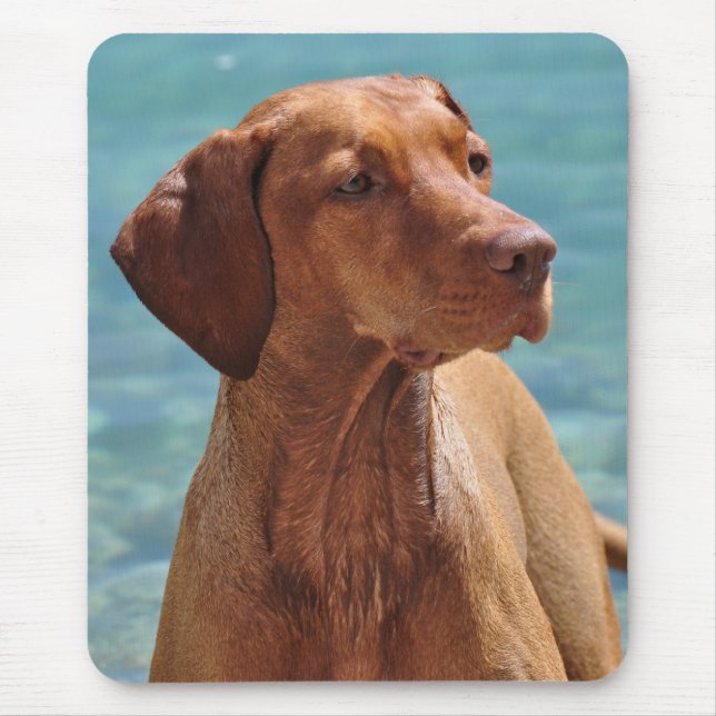 Magyar Vizsla Dog Mouse Pad (Front)