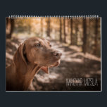 Magyar Vizsla Dogs Calendar<br><div class="desc">Magyar Vizsla Dogs Calendar</div>