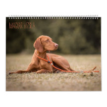 Magyar Vizsla Dogs Calendar