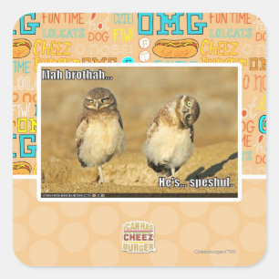 Mah brothah square sticker