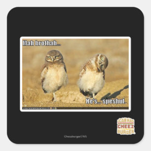 Mah brothah square sticker