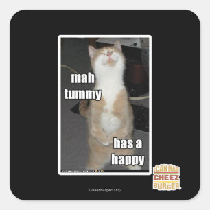 Mah tummy has a happy square sticker