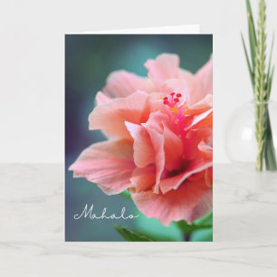 Mahalo Thank you Hawaiian Pink Hibiscus Close-up Card