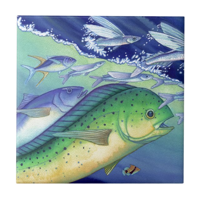 Mahi Mahi (Dolphin Fish) chasing Flying Fish Tile (Front)