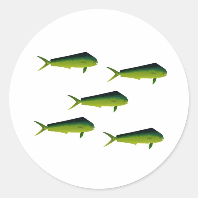 Mahi Mahi Fish - Dolphin - Dorado Classic Round Sticker (Front)