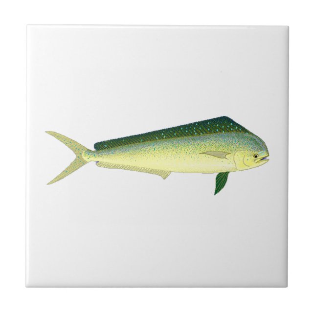Mahi Mahi Tile (Front)
