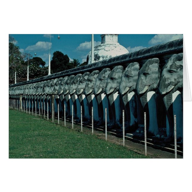 Mahiyangana, Sri Lanka (Front Horizontal)