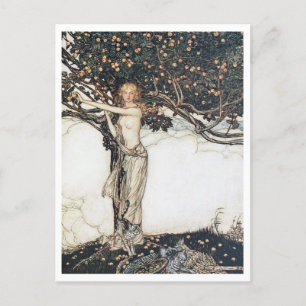 Maiden and Tree by Arthur Rackham from Ring Cycle Postcard
