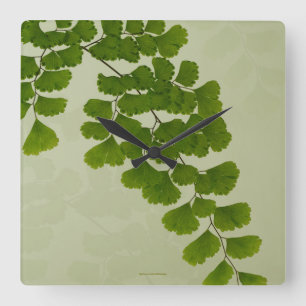 Maiden Hair Fern Frond Square Wall Clock