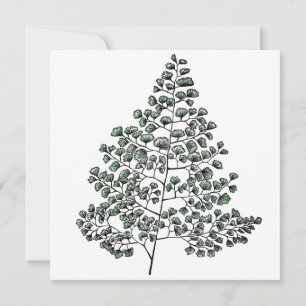 Maidenhair Fern Card