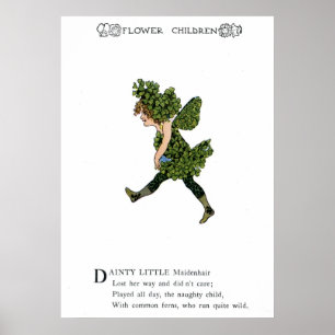Maidenhair Poster