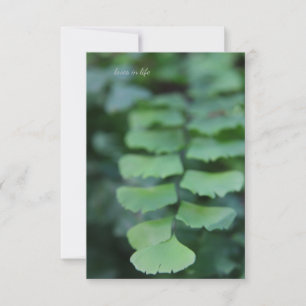 Maiden's Hair Fern Up-close Card