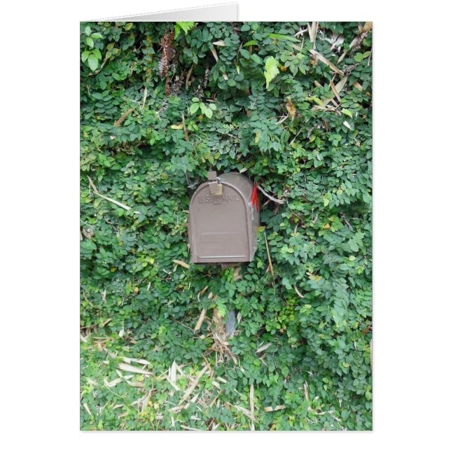 Mail in Paradise (Front)