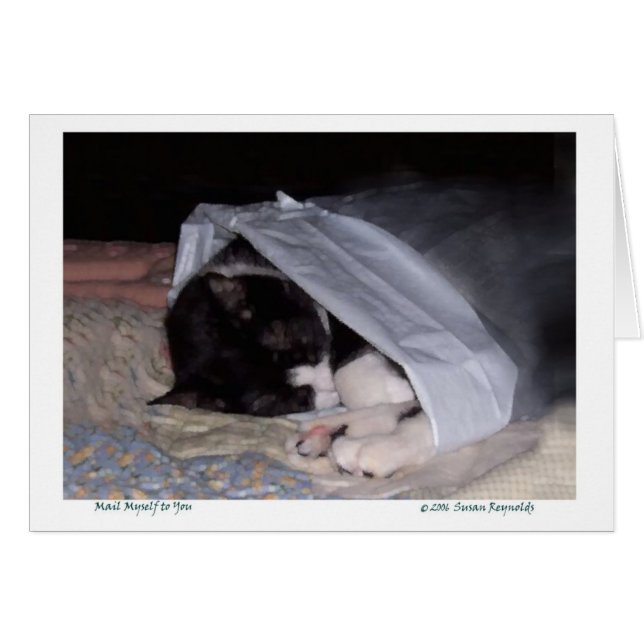 Mail Myself to You (Front Horizontal)