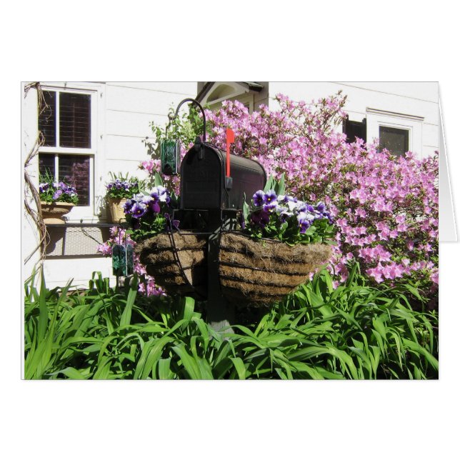 Mailbox among the Flowers--Card (Front Horizontal)