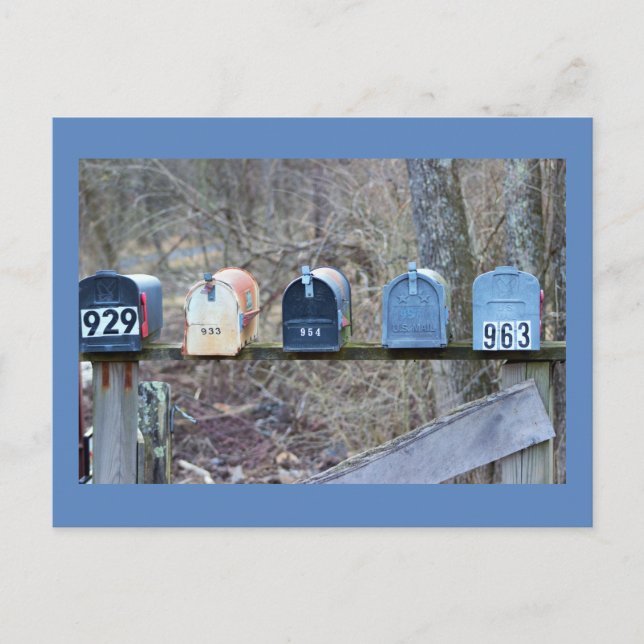Mailboxes Photo Postcard (Front)