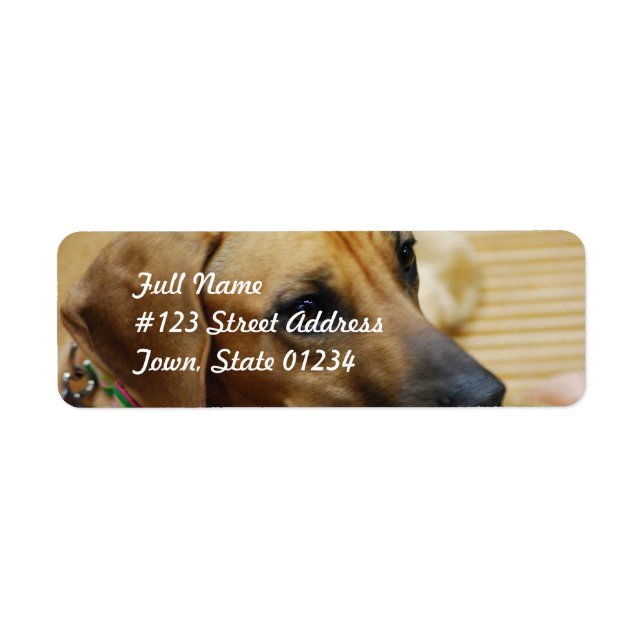 Mailing Label Template 2 - Customised (Front)