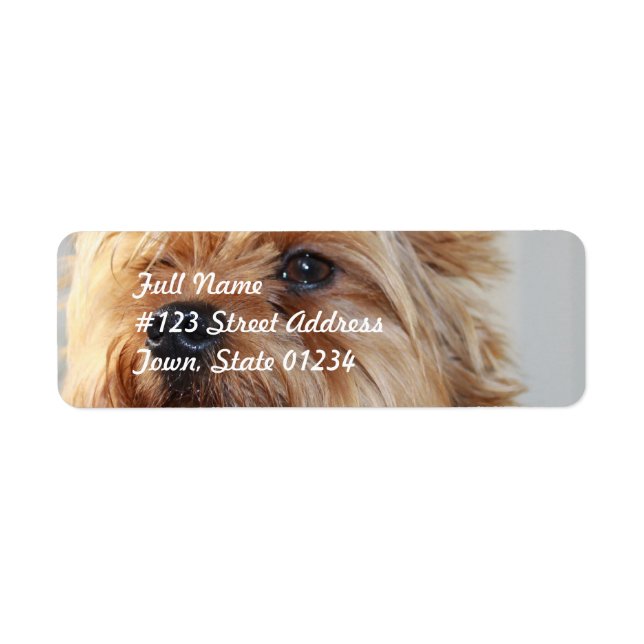 Mailing Label Template 2 - Customised (Front)