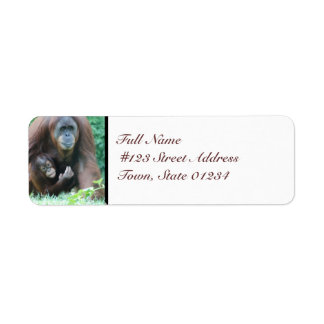 MailingLabel-5 - Customised