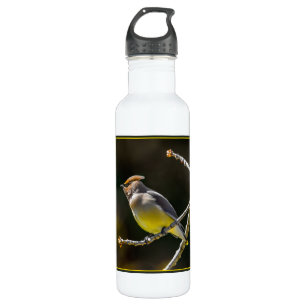 main1 710 ml water bottle