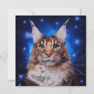 Main Coon Cat Blue Background Stars Invitation