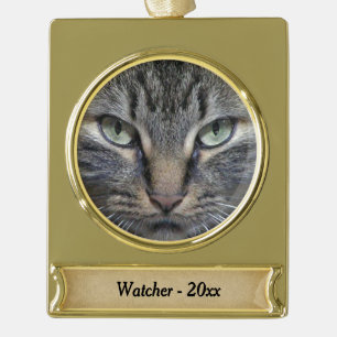 Main Coon Cat Eyes Gold Name and Year Plated Banner Ornament