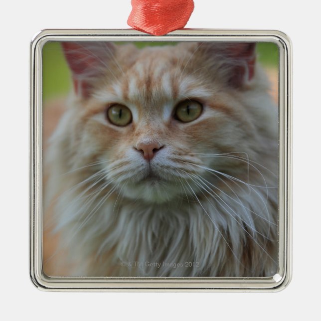 Main coon cat metal tree decoration (Front)