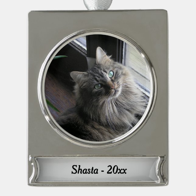 Main Coon Cat Silver Name and Year Silver Plated Banner Ornament (Front)