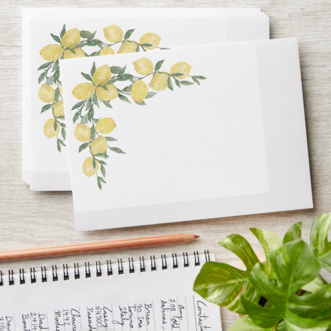 Main Squeeze Envelopes (Stacked)