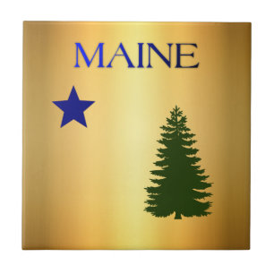 Maine (1901) flag tile