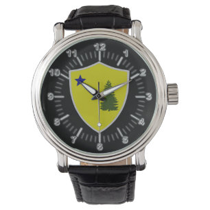 Maine (1901) flag watch