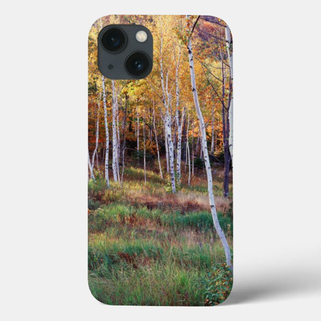 Maine, Acadia National Park, Autumn Case-Mate iPhone Case (Back)
