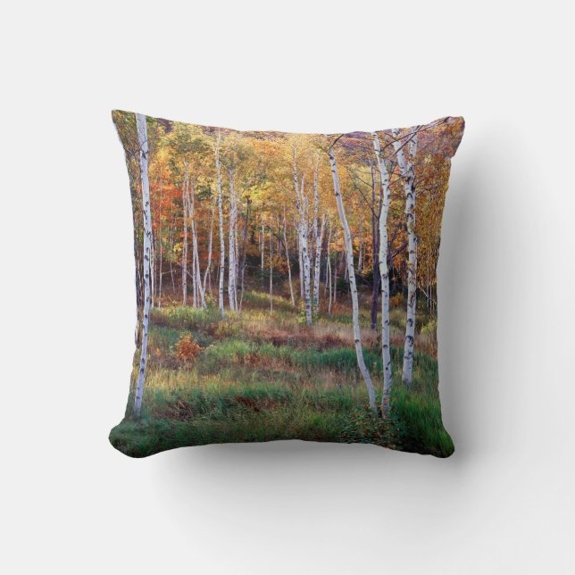 Maine, Acadia National Park, Autumn Cushion (Front)