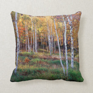 Maine, Acadia National Park, Autumn Cushion