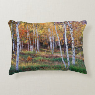 Maine, Acadia National Park, Autumn Decorative Cushion