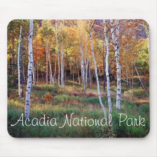Maine, Acadia National Park, Autumn Mouse Pad (Front)