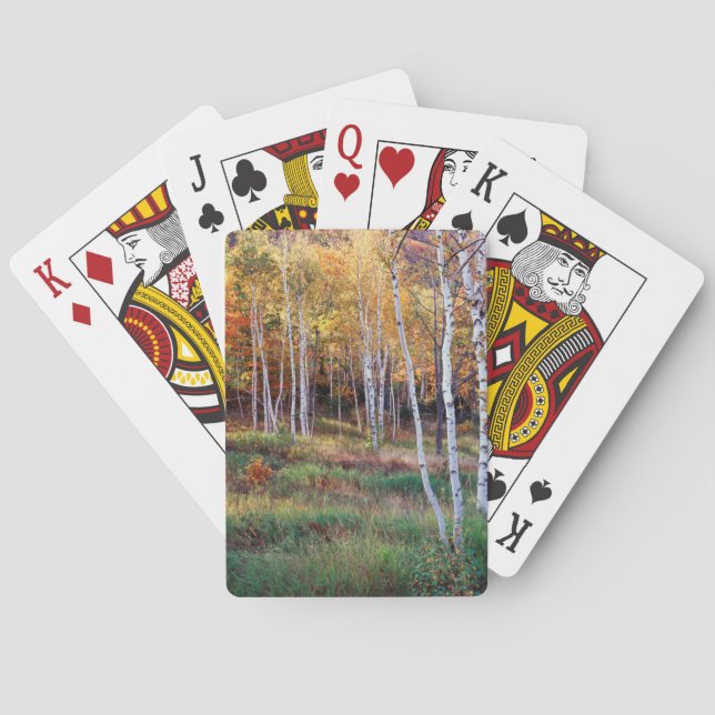 Maine, Acadia National Park, Autumn Playing Cards (Back)