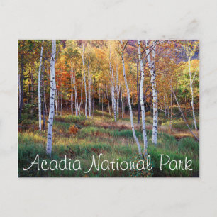 Maine, Acadia National Park, Autumn Postcard