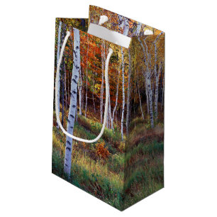 Maine, Acadia National Park, Autumn Small Gift Bag