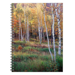 Maine, Acadia National Park, Autumn Spiral Notebook