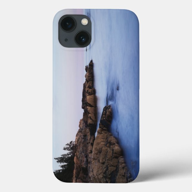 Maine, Acadia National Park, Moonset Case-Mate iPhone Case (Back)