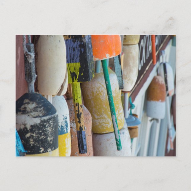 Maine, Bar Harbour. Colourful lobster trap buoys Postcard (Front)