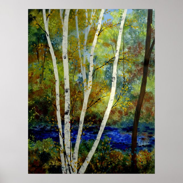 Maine Birch Stream Poster (Front)