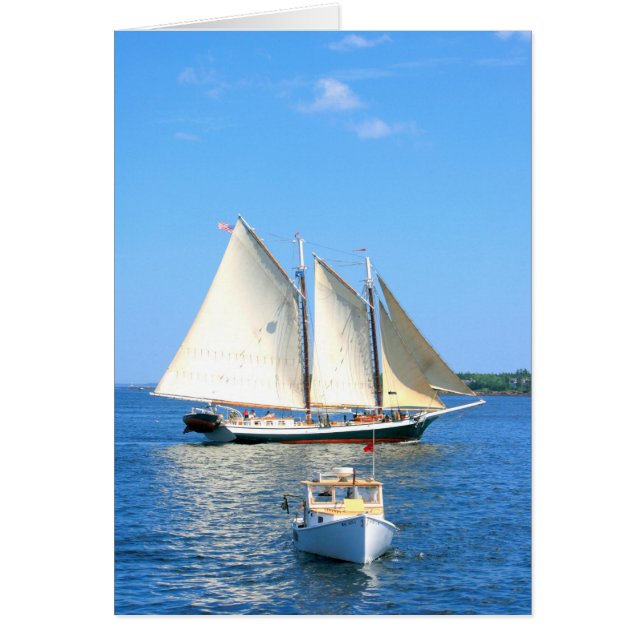 Maine boats (Front)