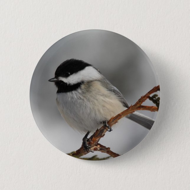 Maine Chickadee 6 Cm Round Badge (Front)