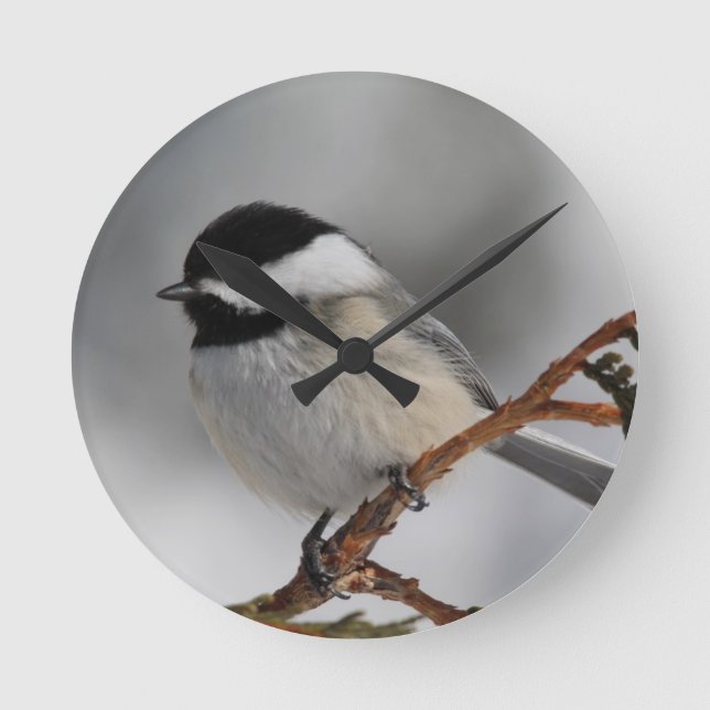 Maine Chickadee Round Clock (Front)