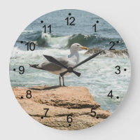 Maine Coast Ocean Seagull