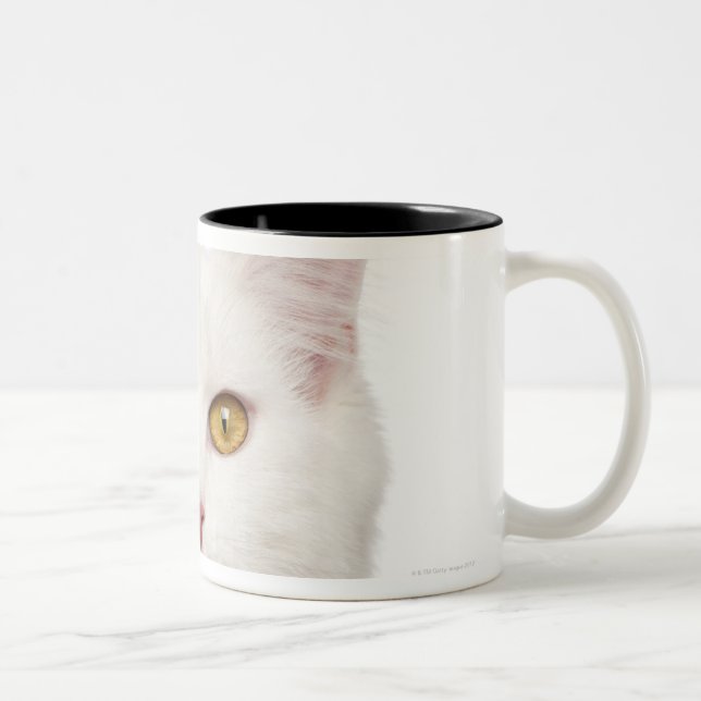 Maine Coon (8 months old) 2 Two-Tone Coffee Mug (Right)